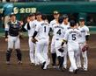 　広島に勝利しタッチする石井（左から２人目）ら阪神ナイン（撮影・山口登）