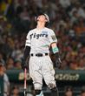 　７回、右翼へ飛球を放ち天を仰ぐ佐藤輝。飛球はフェアゾーンに落ち適時二塁打となる（撮影・西田忠信）