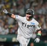 　６回、適時打を放ちベンチを指さす小野寺（撮影・西田忠信）