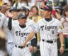 　金本監督（右）を支えた高代コーチ＝１６年６月