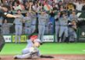 ８回、代打木浪の内野安打で二走坂本（手前）が生還し、喜びに沸く阪神ベンチ