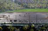 ７回途中、コールドゲームで勝利しファンにあいさつする阪神ナイン（撮影・山口登）