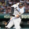 ４回、投ゴロに倒れる佐藤輝（撮影・田中太一）