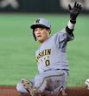 ５回、村上の犠打で三塁へすべり込む木浪（撮影・田中太一）