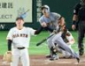 　５回、竹丸（手前）から２ランを放つ立石（撮影・金田祐二）