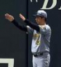 ７回、藤川監督は野村の本塁の判定にリクエストをする（撮影・山口登）