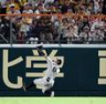 　６回、石井の打球を好捕する佐藤輝（撮影・田中太一）