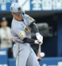 １回、右越えに２ランを放つ坂本（撮影・西岡正）