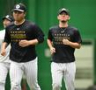 ２軍練習に合流した伊藤将（撮影・高部洋祐）