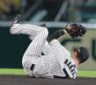８回、菊池の打球を好捕した中野（撮影・西田忠信）