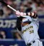 　８回、ソロを放つ浜田（撮影・田中太一）