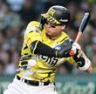 　３回、死球を受ける佐藤輝（撮影・田中太一）