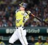 ６回、ソロを放つ佐藤輝（撮影・田中太一）