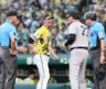 　試合前、橋上監督代行（右）と言葉を交わす藤川監督（撮影・田中太一）