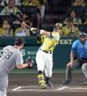　６回、中越えに先制ソロを放つ佐藤輝（撮影・山口登）