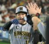 　６回、逆転２ランを放った坂本はナインとタッチを交わす（撮影・田中太一）
