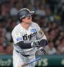４回、ソロを放つ森下（撮影・西田忠信）