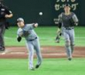 ７回、松本の送りバントを阻止する及川（撮影・金田祐二）