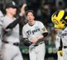 巨人との最終戦を引き分けた藤川監督