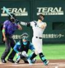 オールスター第１戦の１回、先制ソロを放つ佐藤輝＝７月２８日