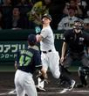 ６回、右飛に倒れる佐藤輝（撮影・山口登）＝８日