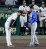 試合を終え、藤川監督（左）は相川監督に一礼する（撮影・山口登）