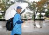 　試合が中止となり引き揚げる日体大・馬場（撮影・石井剣太郎）